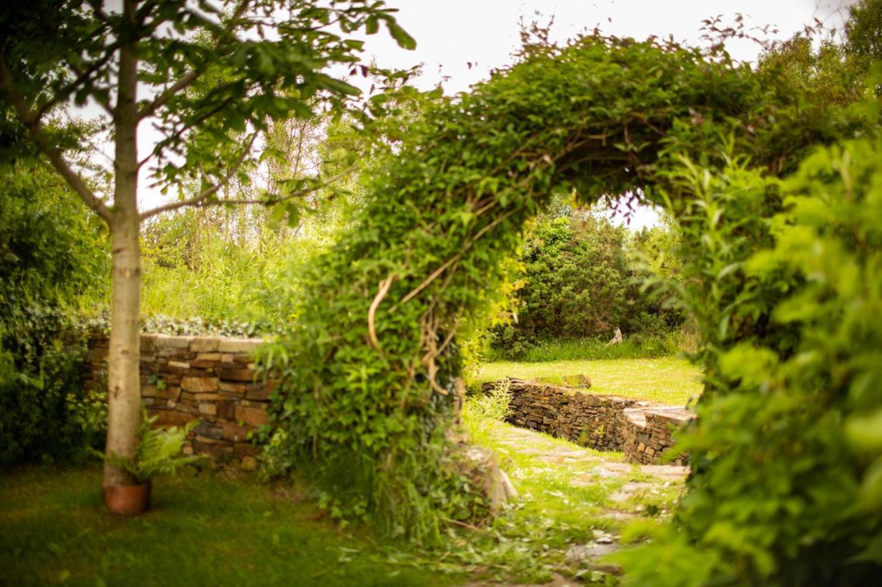 Corcreggan Mill B&B & Self-Catered Accommodation Dunfanaghy Eksteriør bilde